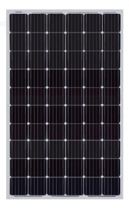 Leapton Solar LP60-315M PERC